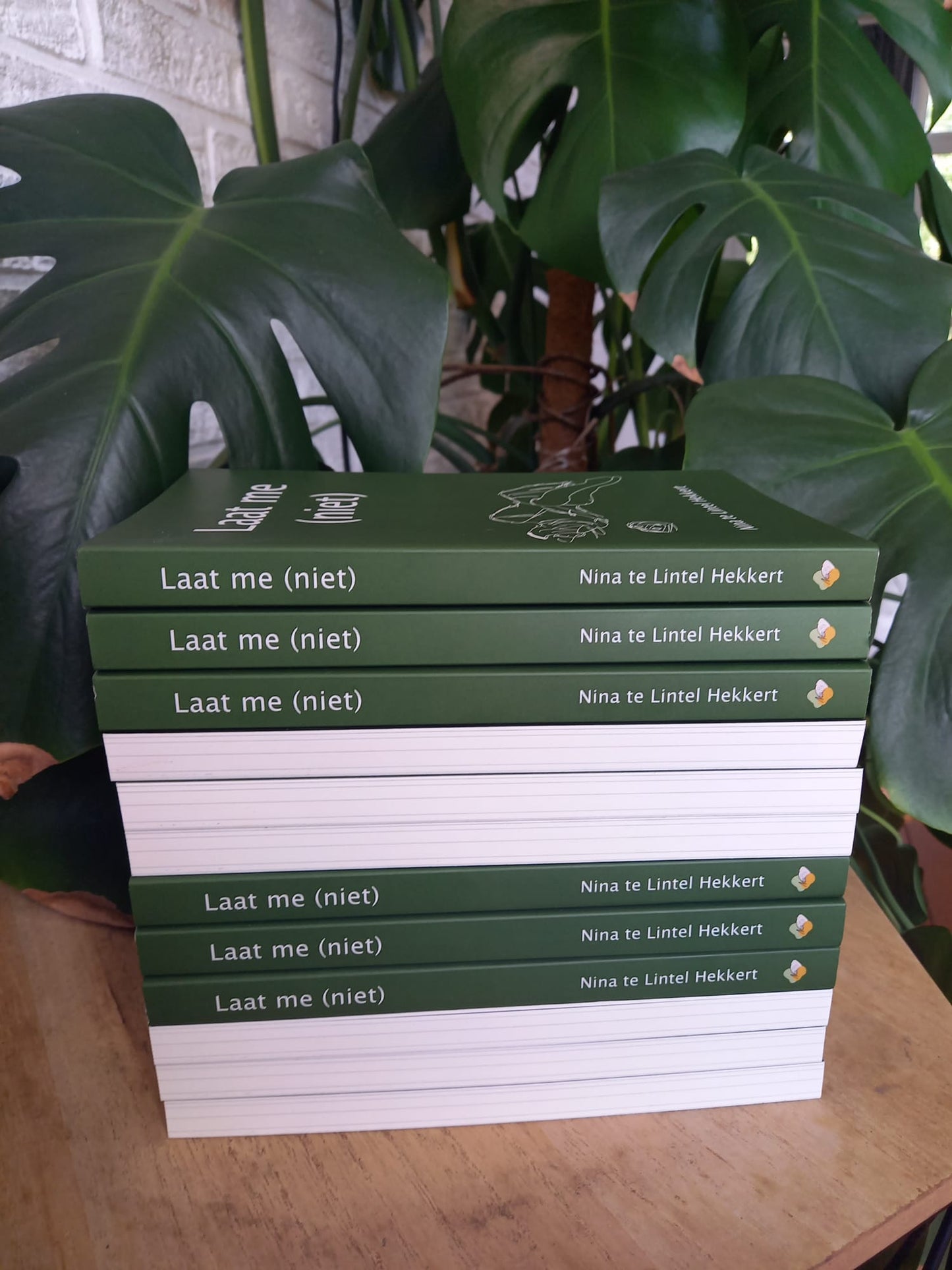 Dichtbundel 'Laat me (niet)' van Nina te Lintel Hekkert